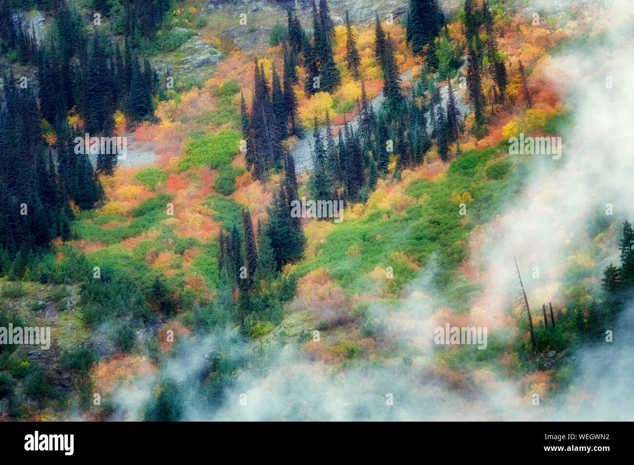Color en el otoño y nubes bajas. Parque Nacional Cascadas del Norte. Washington Foto de stock