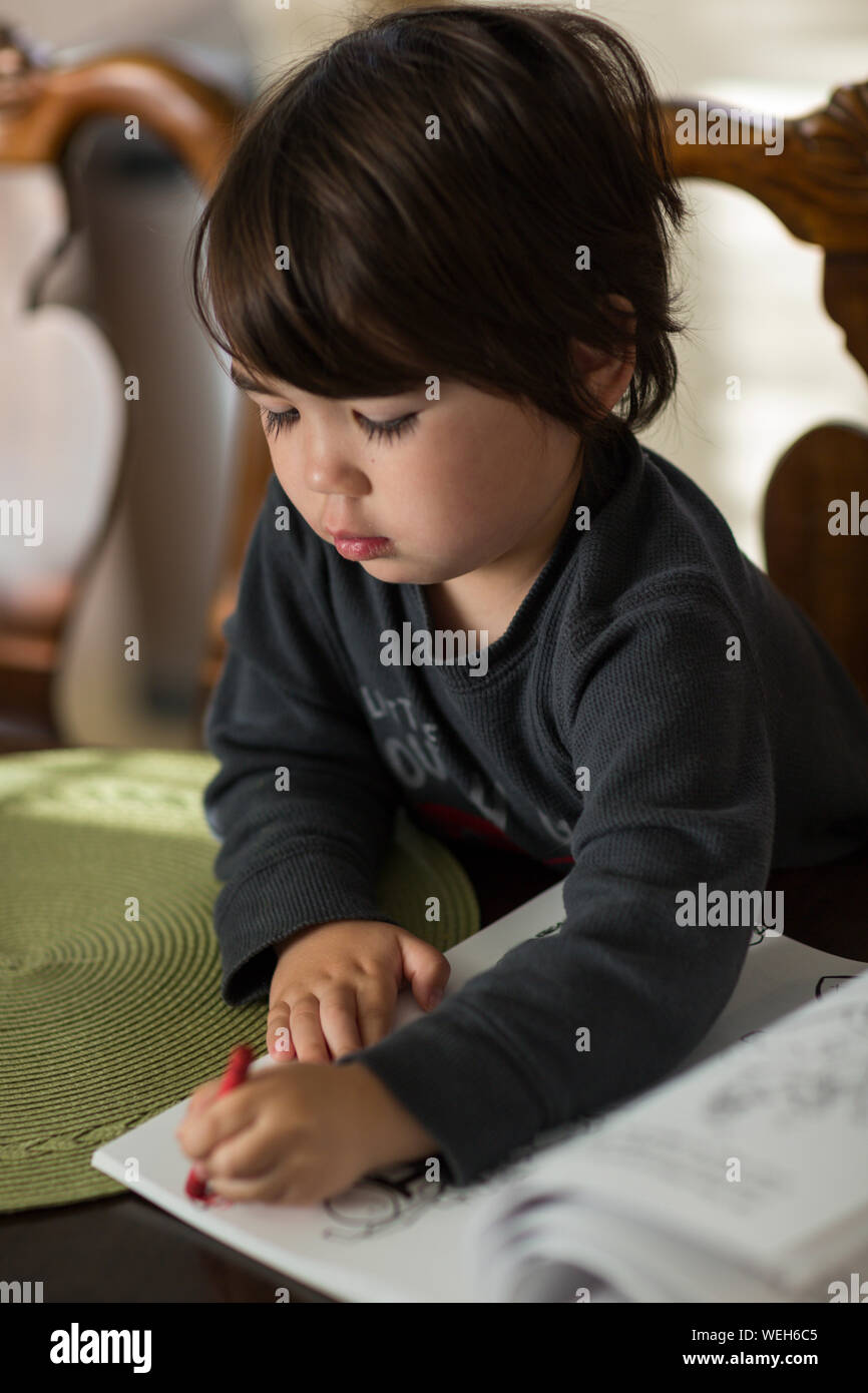 Niño de 6 años de etnicidad mixta asiática en el libro con el lápiz de dibujo Foto de stock