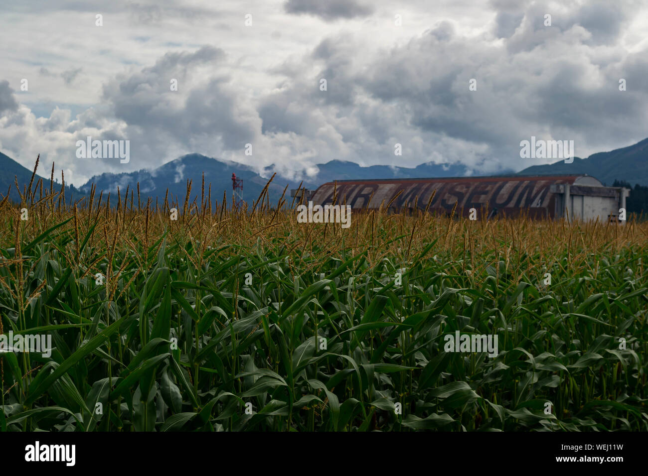Tillamook, o - Agosto 11, 2019: vista espectacular del Museo del Aire sobre un campo de maíz Foto de stock