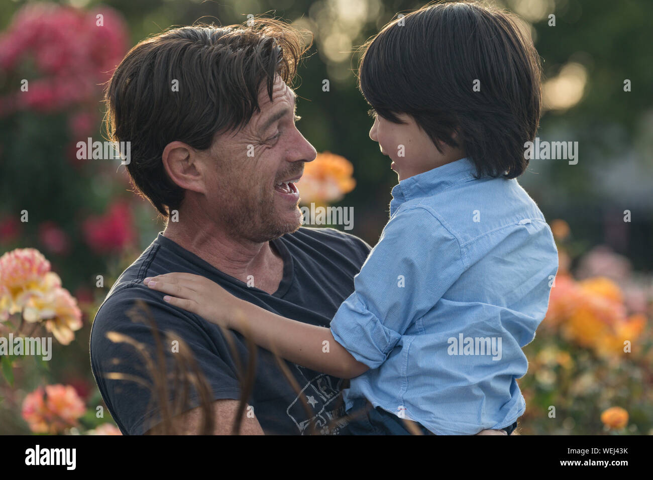 Padre caucásico Holding Asia étnica mixta hijo de 5 años, tanto felices, San Jose, California Foto de stock