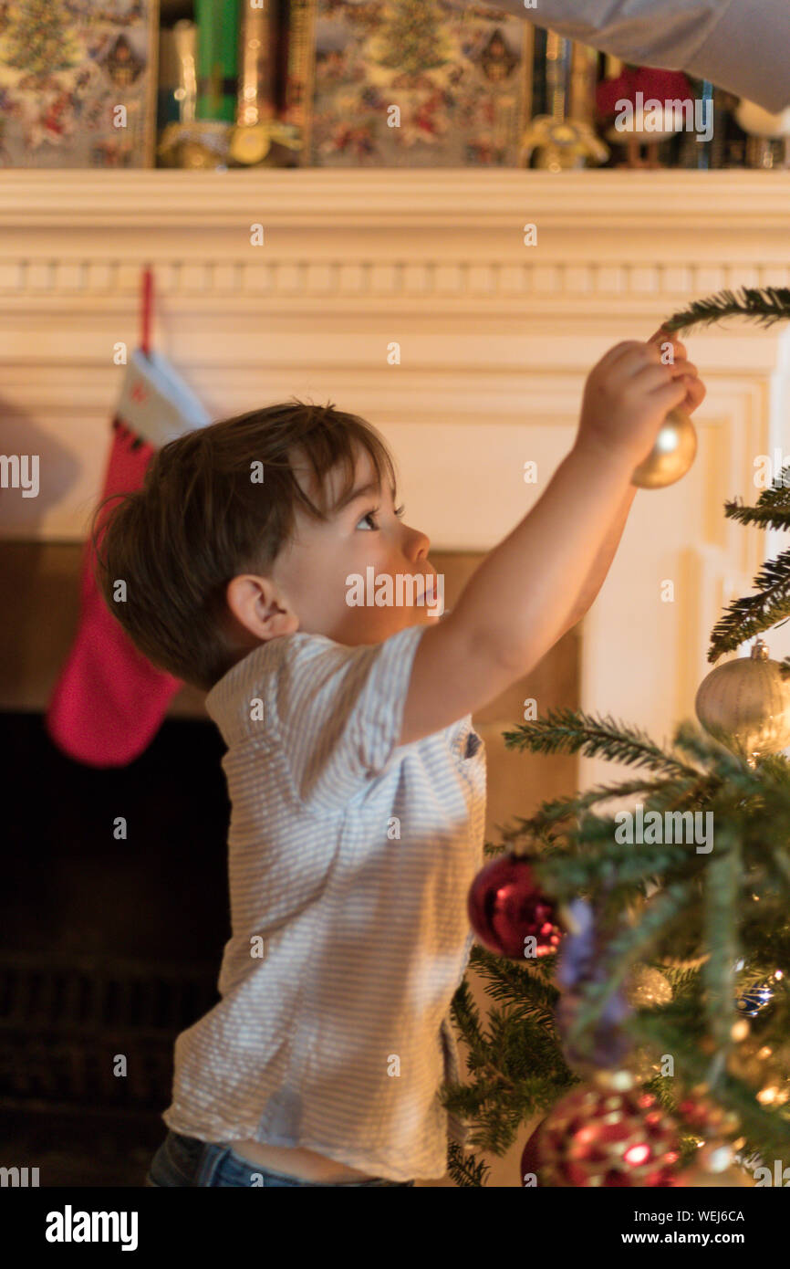 Niño de 3 años colgando decoración de árbol de Navidad Foto de stock