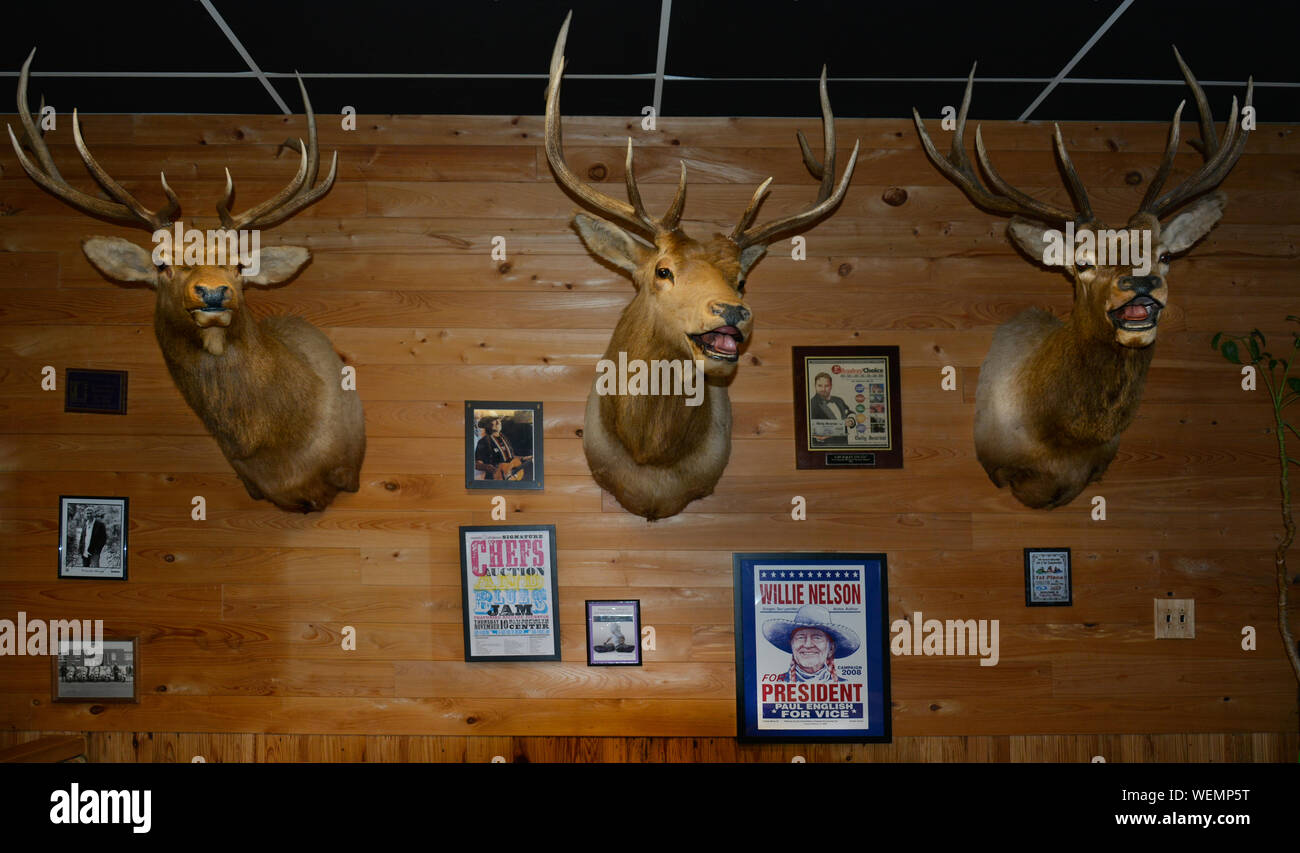 Un viejo estilo interior para Bar-B-Q por Jim, con cabeza de ciervo montajes para pared como decoración de paredes con paneles de madera, con carteles y fotos en Tupelo, Mississippi, EE.UU. Foto de stock