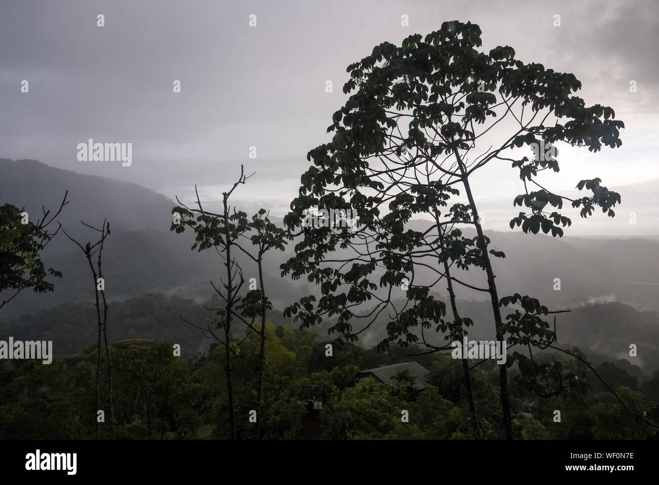 Misty mañana en Quepos, Costa Rica Foto de stock