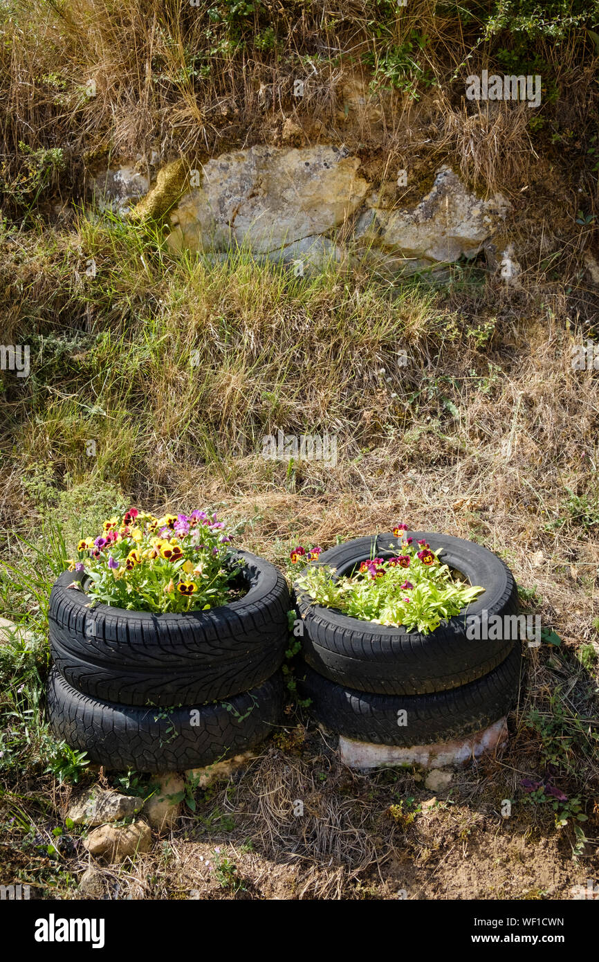 Preciosas flores en macetas hechas con neumáticos usados en la aldea de  Ranera, Burgos, España Fotografía de stock - Alamy