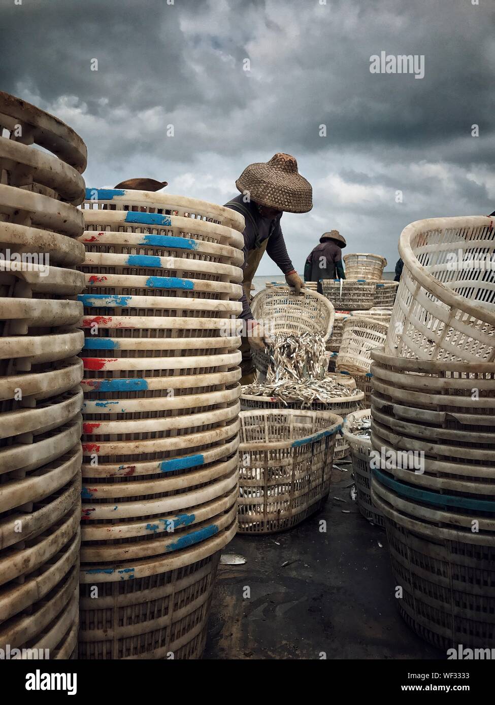 Los trabajadores de cestas de Pescado vaciado Foto de stock