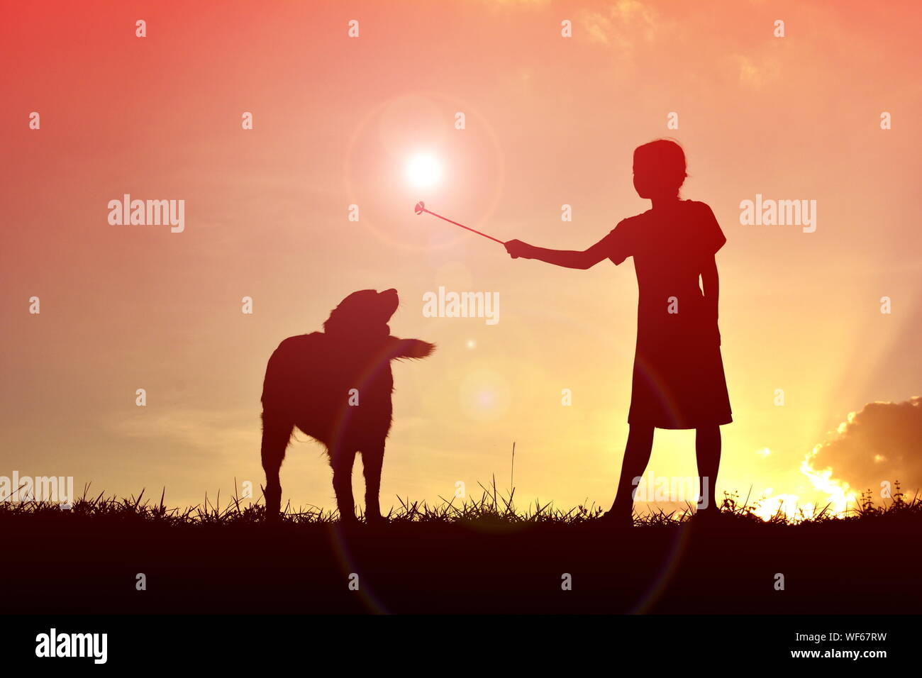 Silueta Chica sujetando la Varita Mágica de pie con perro en campo contra el cielo durante la puesta de sol Foto de stock