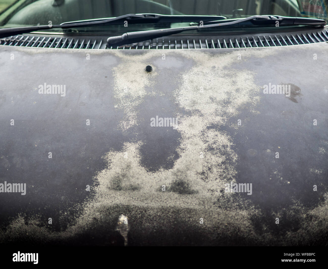 Desapareció de pintura de coches, pintura desconchada superficie, vehículos  con peeling, marcas de pintura que se usan el coche por el sol y la luna  weather óxido Fotografía de stock - Alamy