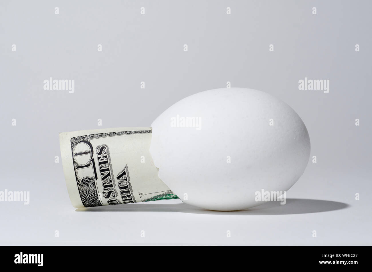 Papel de cáscara de huevo fotografías e imágenes de alta resolución - Alamy