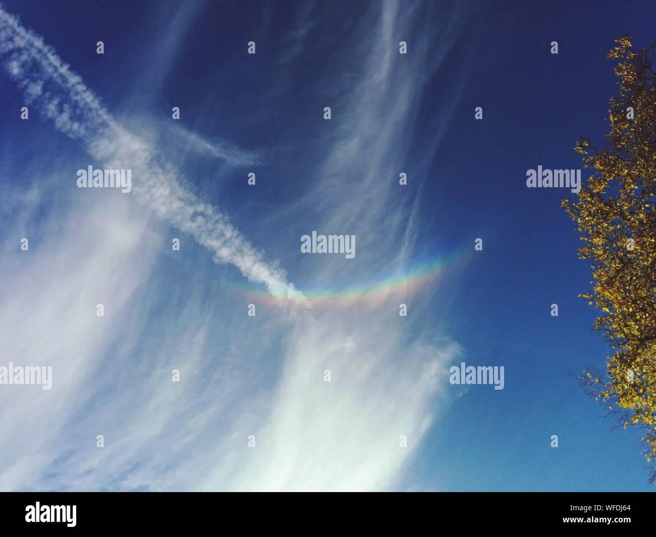 Vista del Arco Iris en el cielo azul Foto de stock