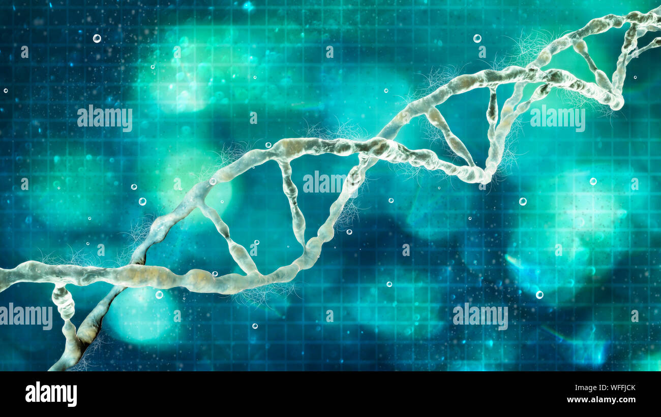 Información hereditaria del cromosoma fotografías e imágenes de alta  resolución - Alamy