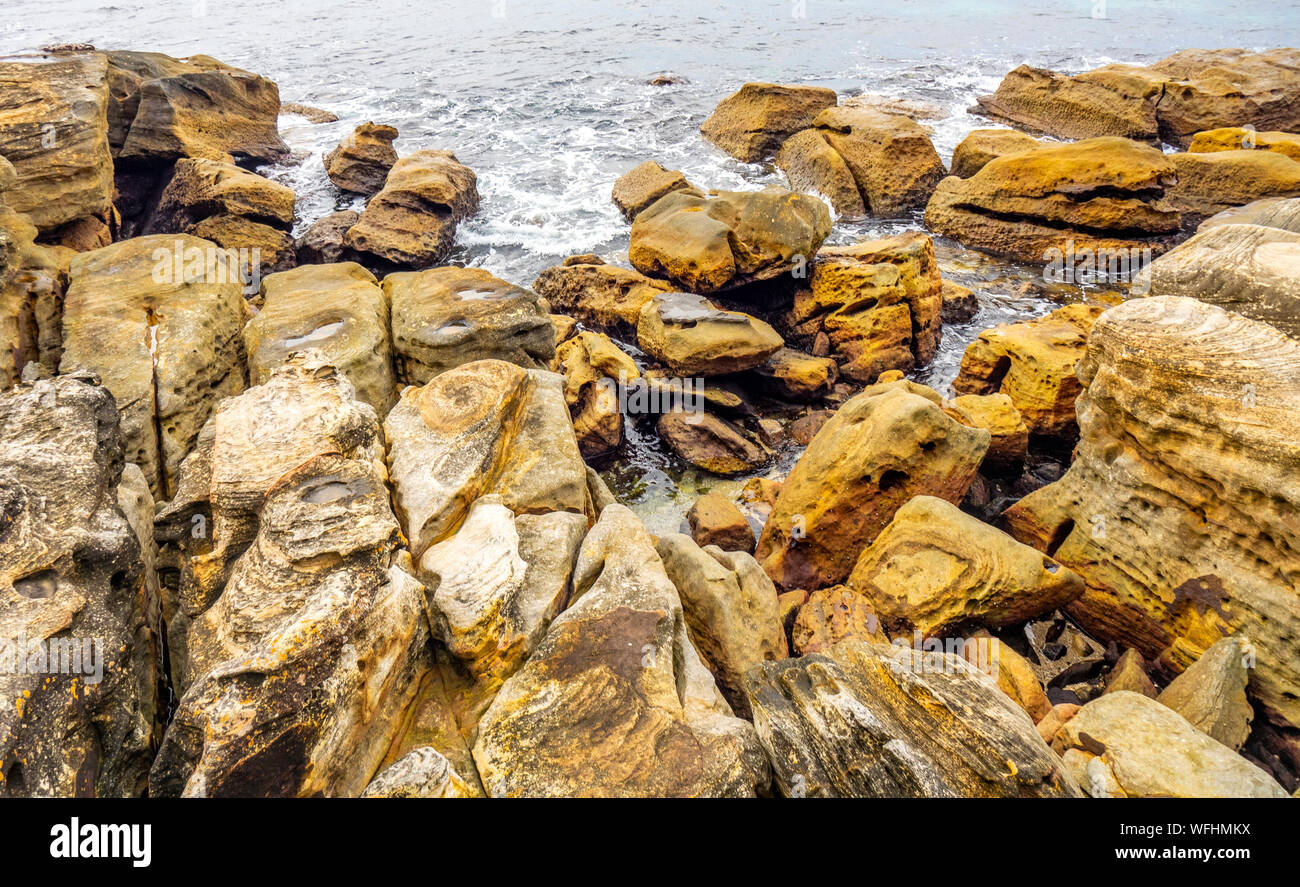 Rocas erosionadas en el Shoreline a Coles Bay Tree Manly Sydney, NSW, Australia. Foto de stock