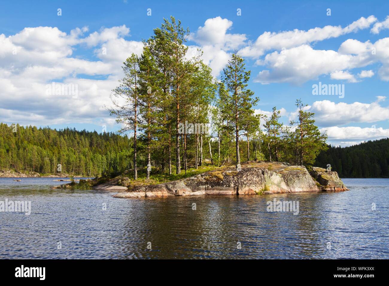 Árboles en formación rocosa en Stora Gla en Glaskogens Naturreservat Foto de stock