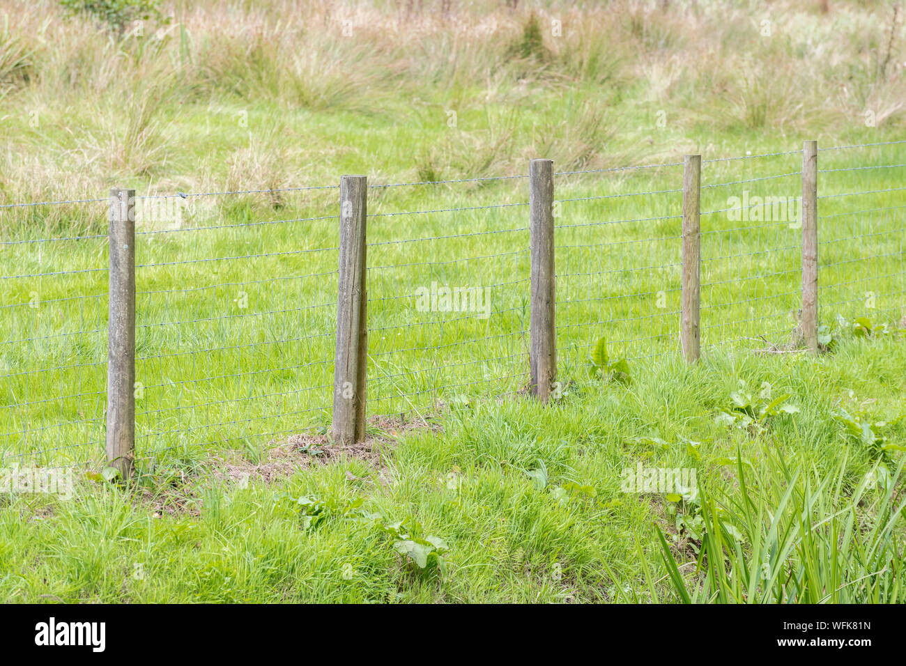 Cercado de la granja fotografías e imágenes de alta resolución - Alamy