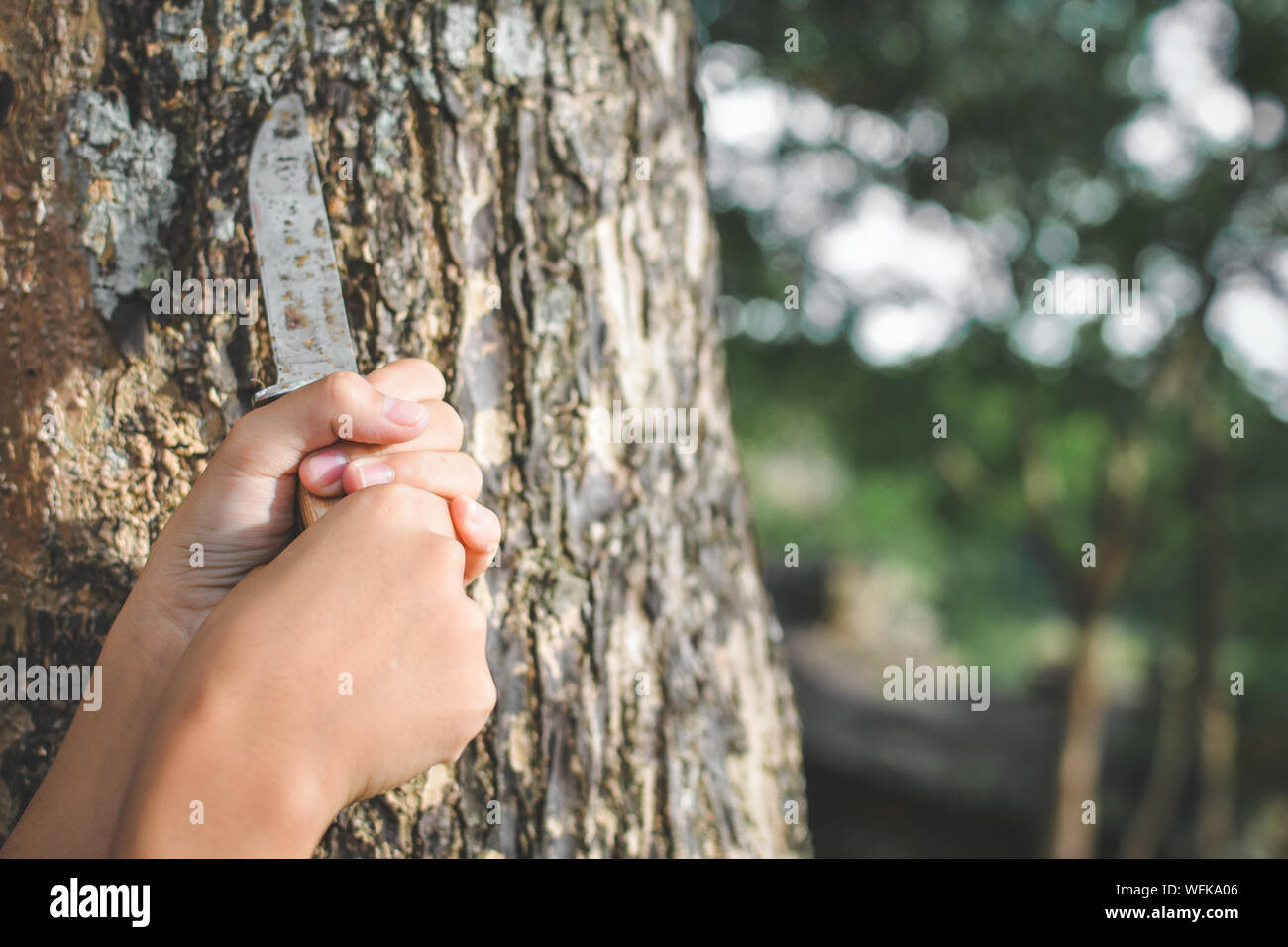 Recortado manos sosteniendo un cuchillo por tronco de árbol Foto de stock