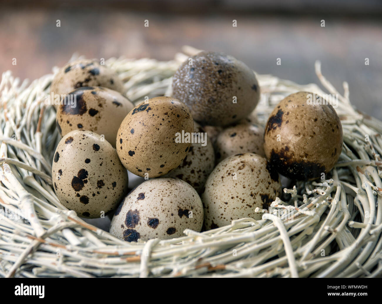 Cinco al día, las opciones de estilo de vida saludable. Recién recogidos huevos de codorniz. Foto de stock