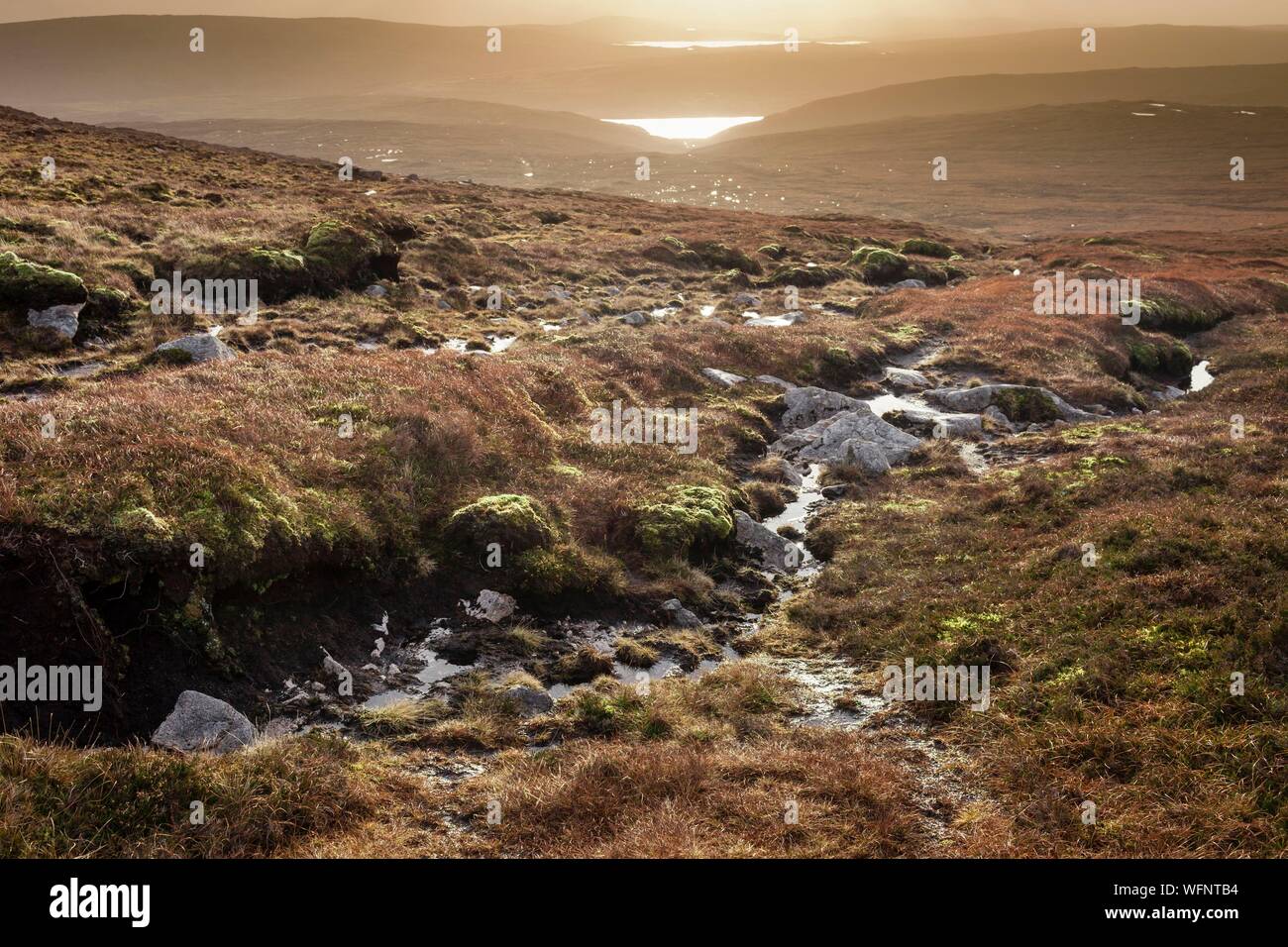 Reino Unido, Escocia, Islas Shetland, Continental, Ronas Hill, Moor, piedra, turba y bajo la hierba en el punto más alto del archipiélago Shetland, elevándose a 450 metros sobre el nivel del mar. Foto de stock