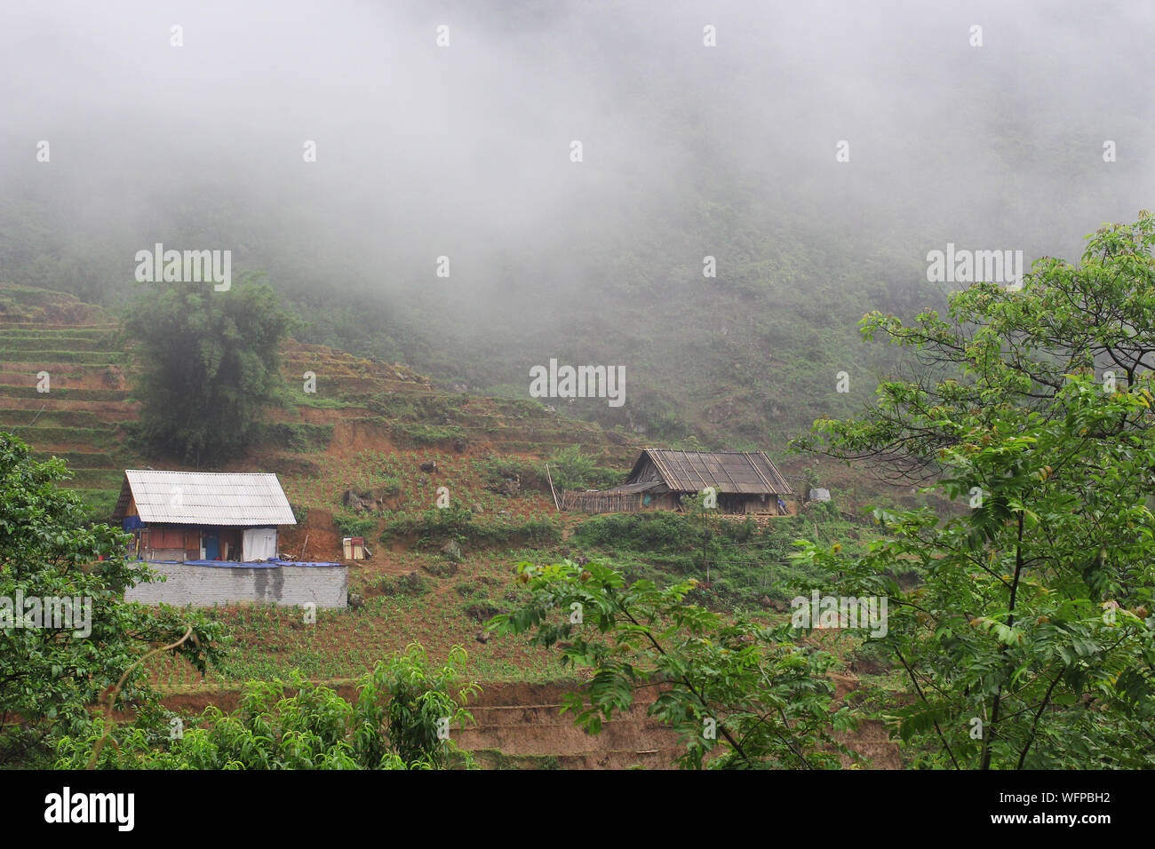 Vistas de Sapa paisaje con campos de arroz y casas. plantar plantas de arroz en terrazas de arroz de Vietnam. Agricultura y productos de arroz vietnamita Foto de stock
