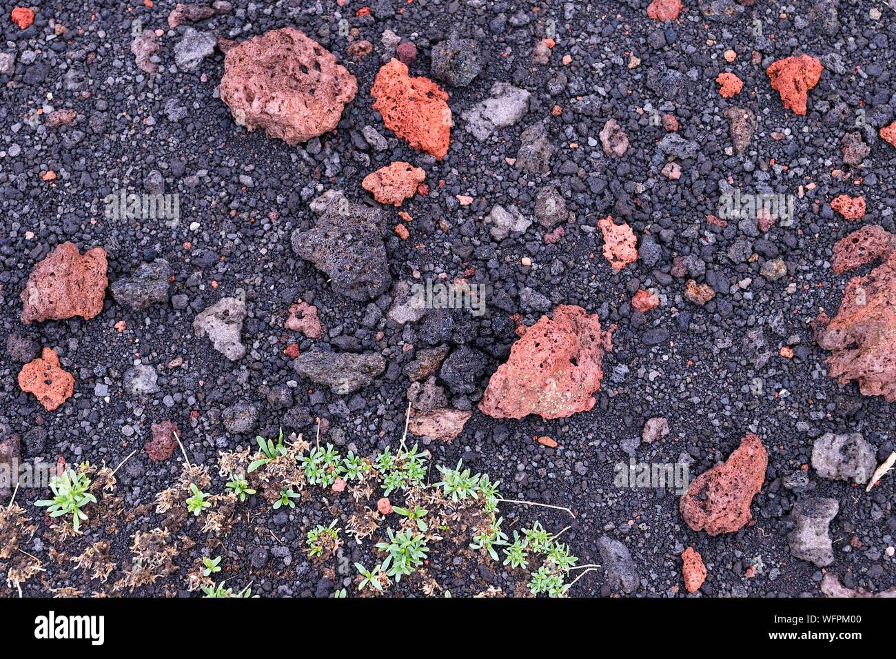 Italia, Sicilia, el Parque Natural Regional de Etna Etna, catalogada como Patrimonio de la Humanidad por la UNESCO, roca volcánica Foto de stock