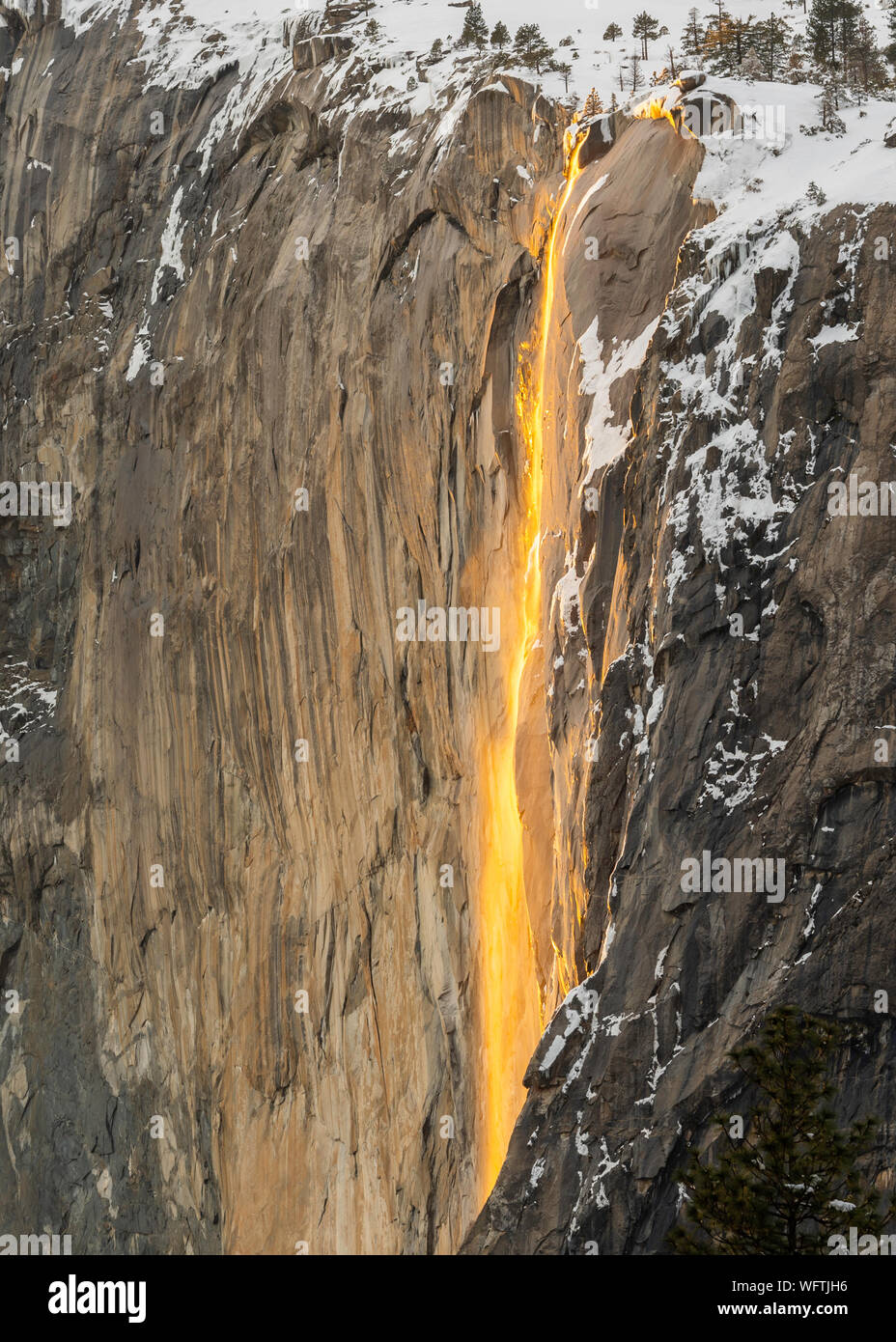 Equiseto o cola de caballo cae el Parque Nacional Yosemite Foto de stock