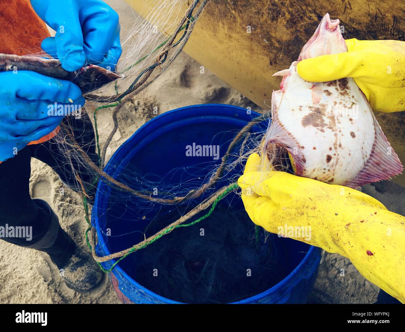 Close-up de extracción se debilita a los pescadores de Net en la playa Foto de stock