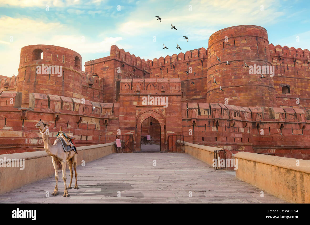 La fortaleza de Agra - histórica fortaleza de piedra arenisca roja de la India medieval al amanecer. La fortaleza de Agra es un sitio del Patrimonio Mundial de la UNESCO en la ciudad de Agra, India. Foto de stock