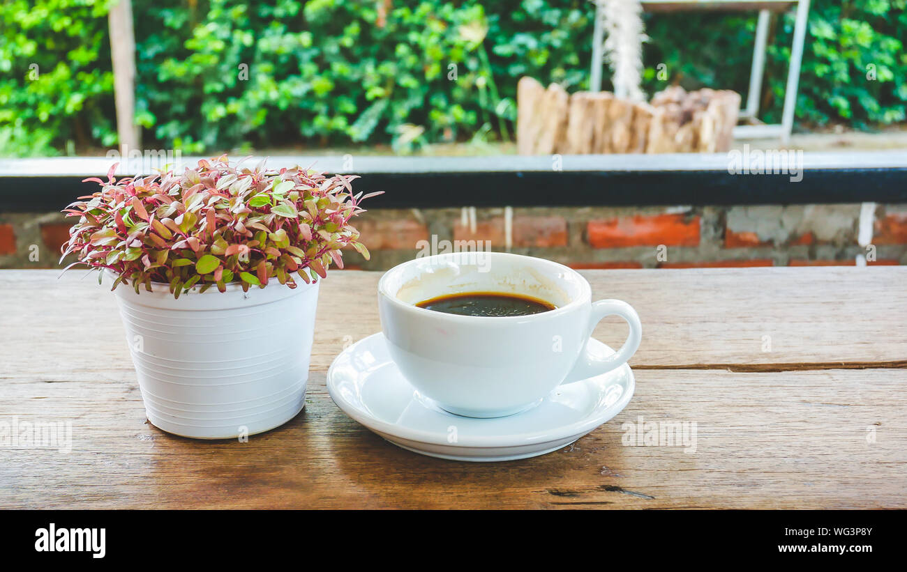Close-up de la taza de café por planta en maceta en la mesa Fotografía de  stock - Alamy