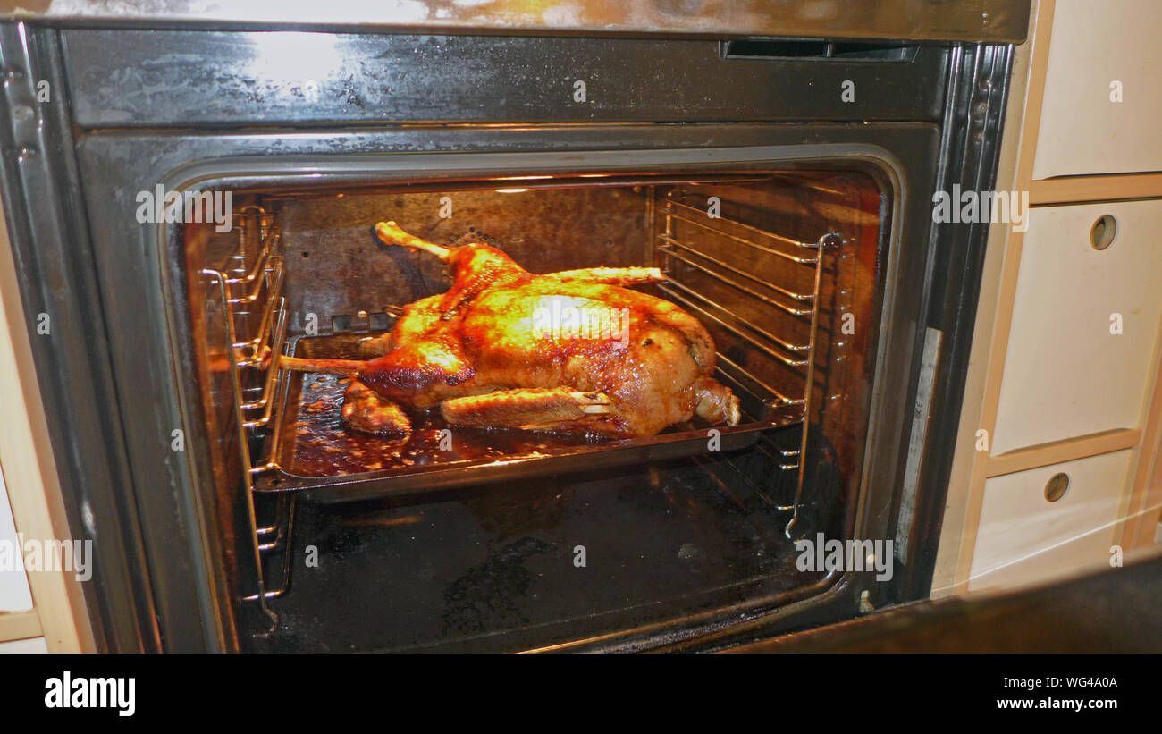 Un alto ángulo de visualización de ganso carne asándose en el horno  Fotografía de stock - Alamy