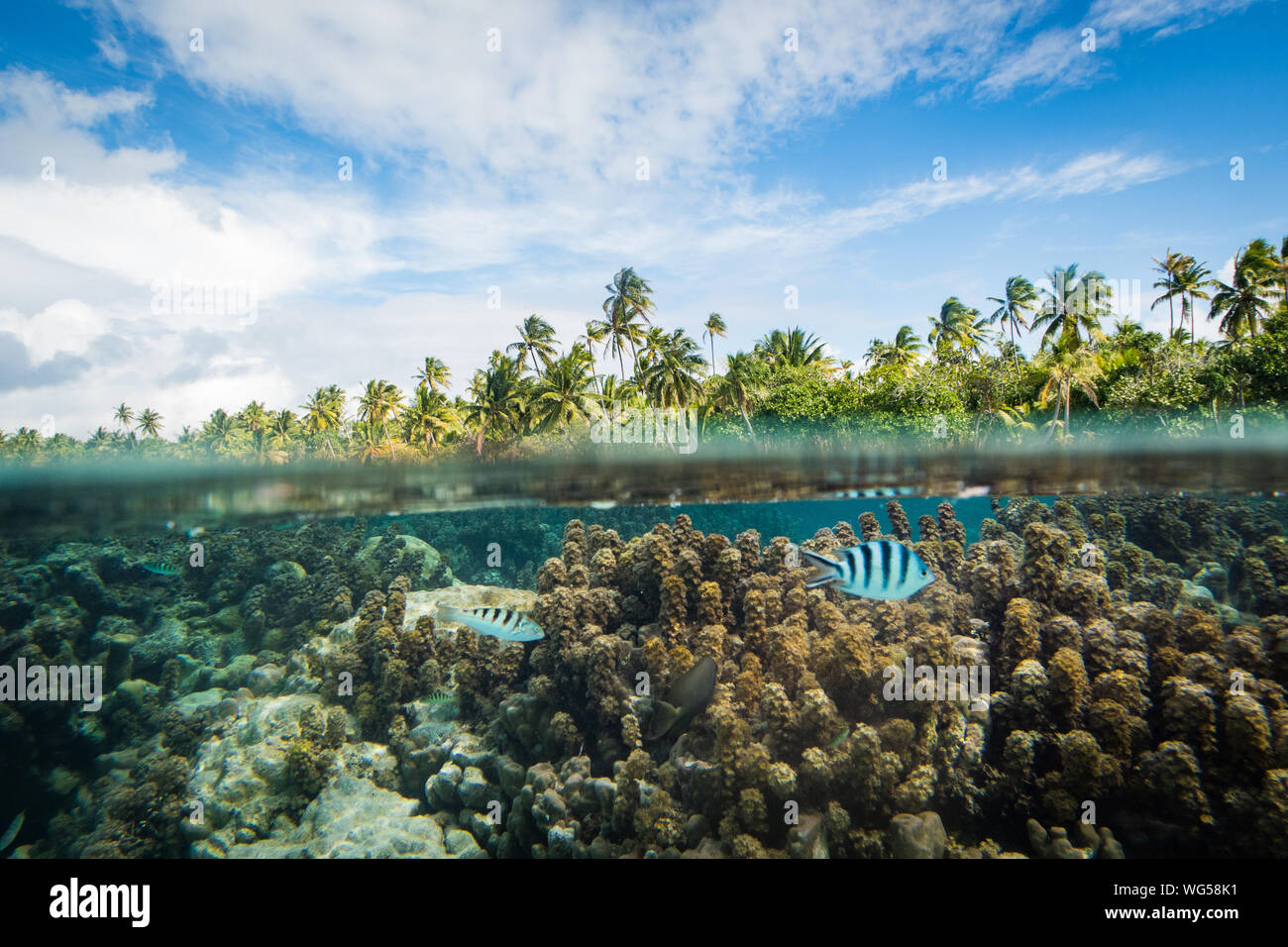 Vista a nivel de superficie de agua de los Arrecifes de Coral y el cielo Foto de stock
