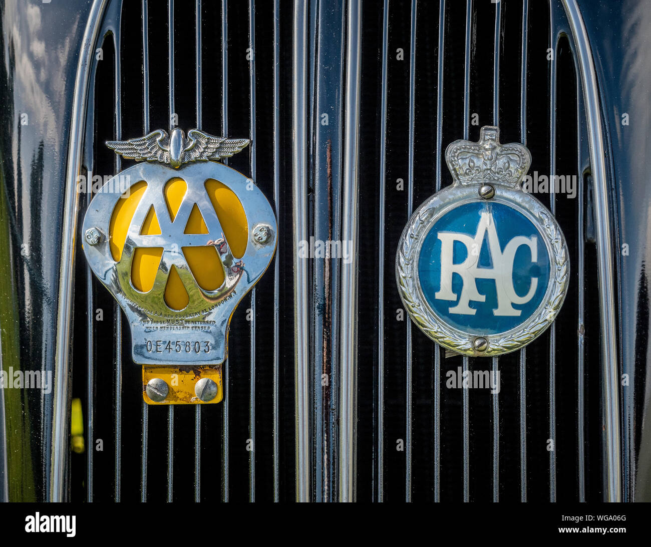AA y el RAC emblema de metal insignias en la parrilla delantera de coches  antiguos Fotografía de stock - Alamy