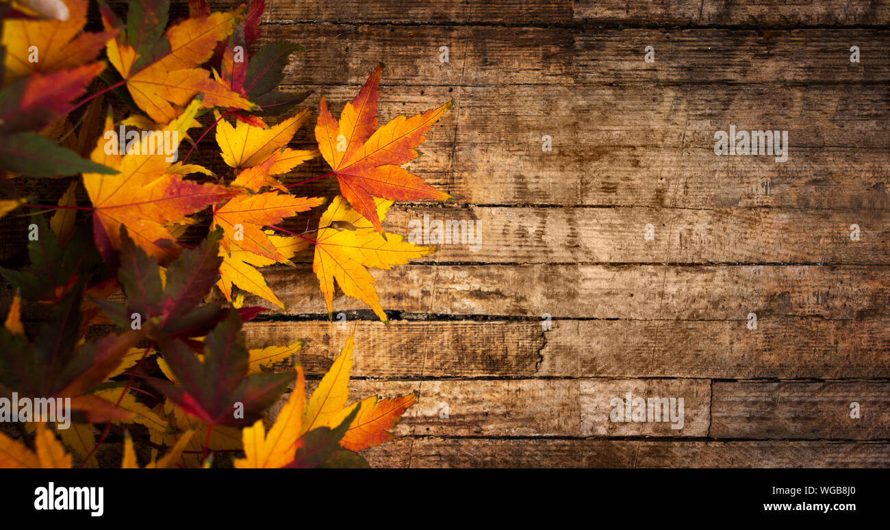 Hojas de otoño sobre un fondo de madera con espacio de copia Foto de stock