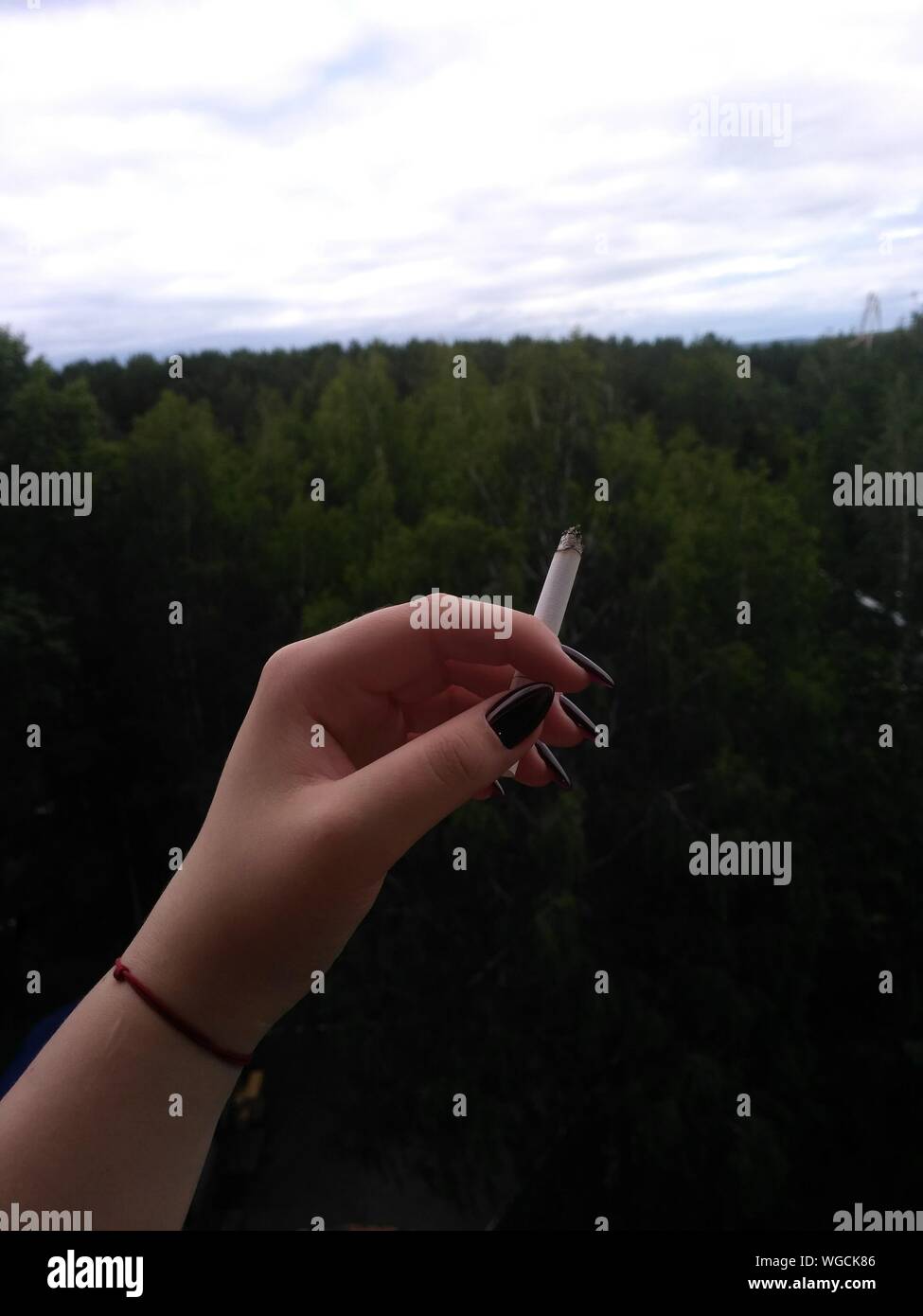 Recorta la mano de mujer sosteniendo cigarrillo contra árboles Foto de stock