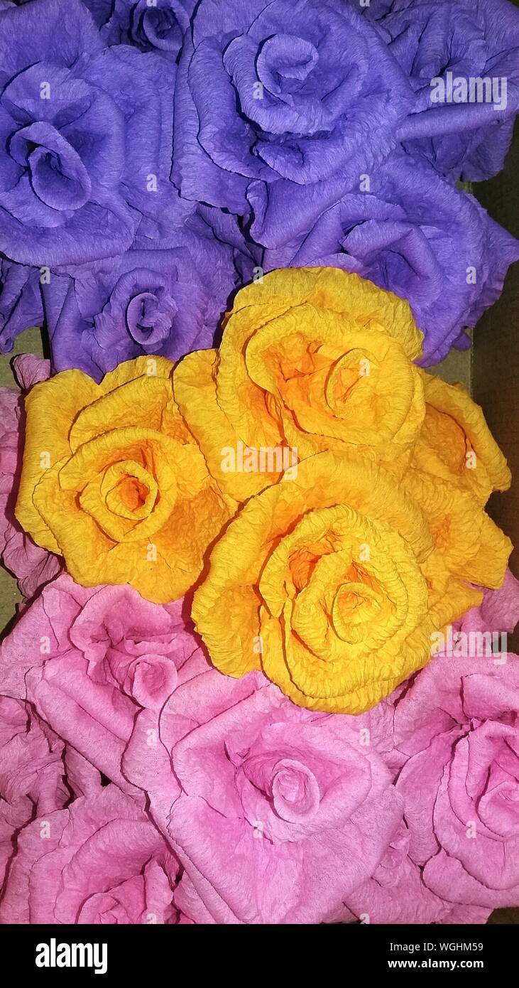Flores de papel de colores fotografías e imágenes de alta resolución - Alamy