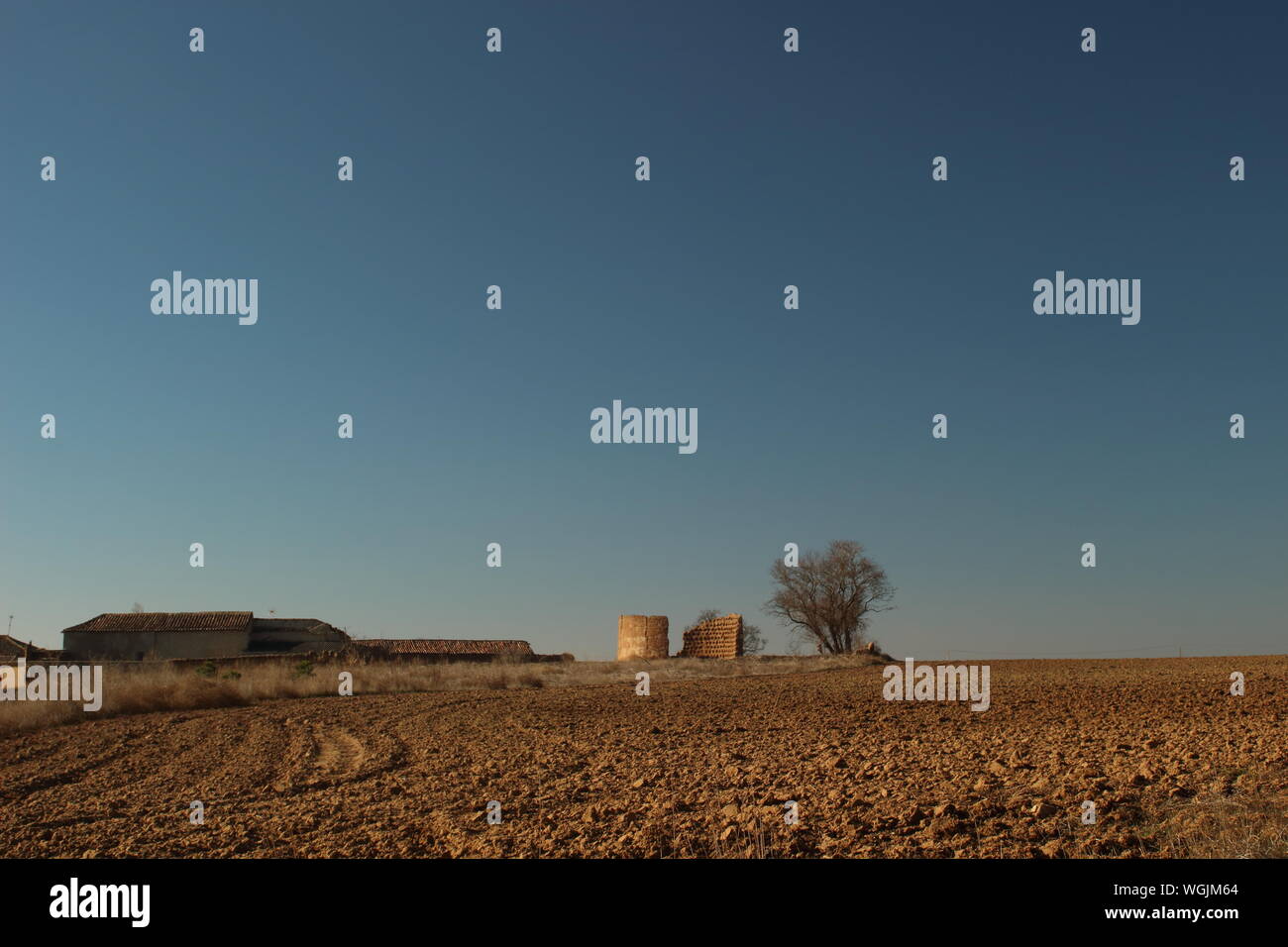 Campos de lavanda en Tiedra, provincia de Valladolid, Castilla y León, España. fotografia nocturna Foto de stock