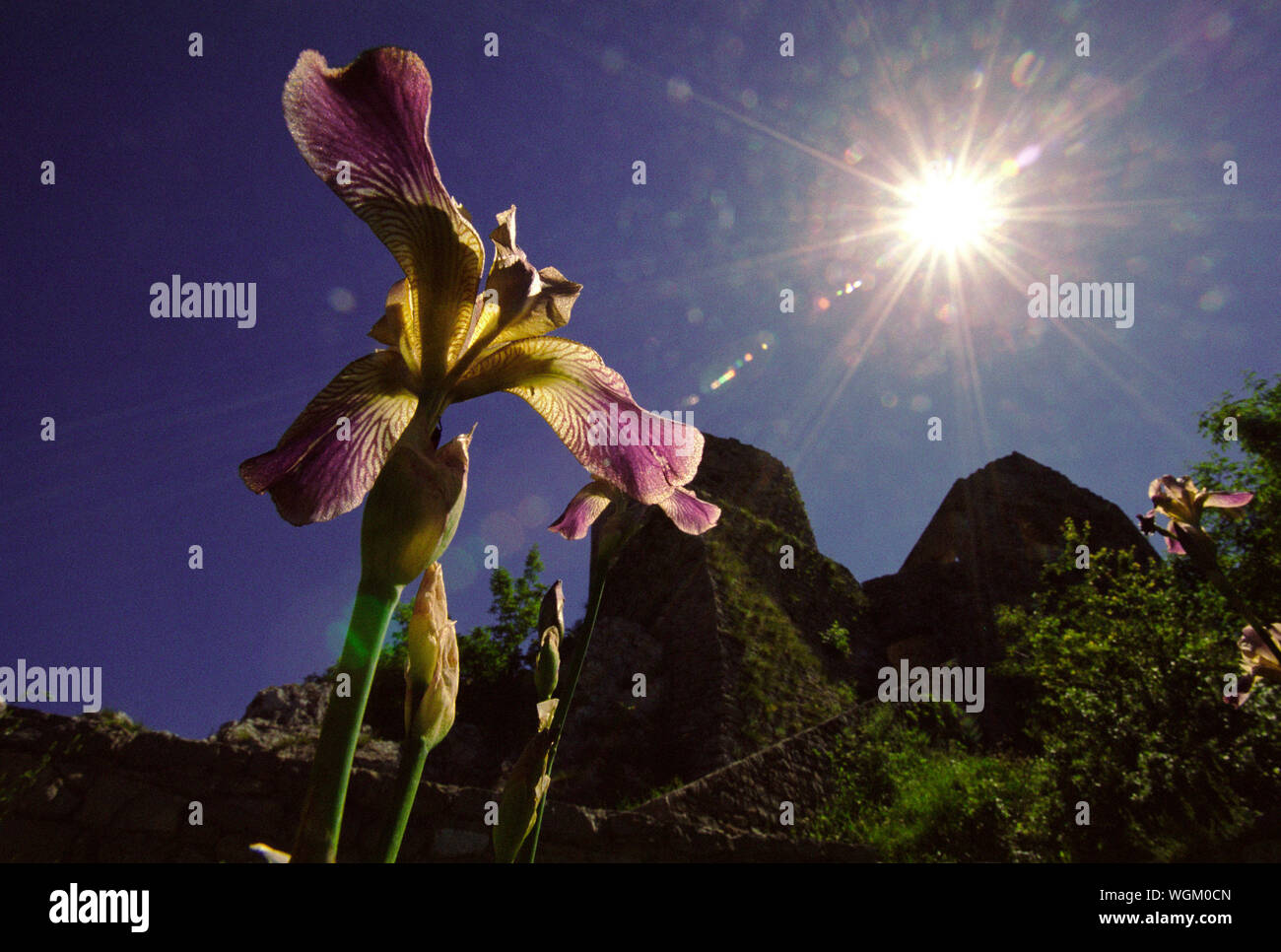 Fortrest srebrenik gradina fotografías e imágenes de alta resolución