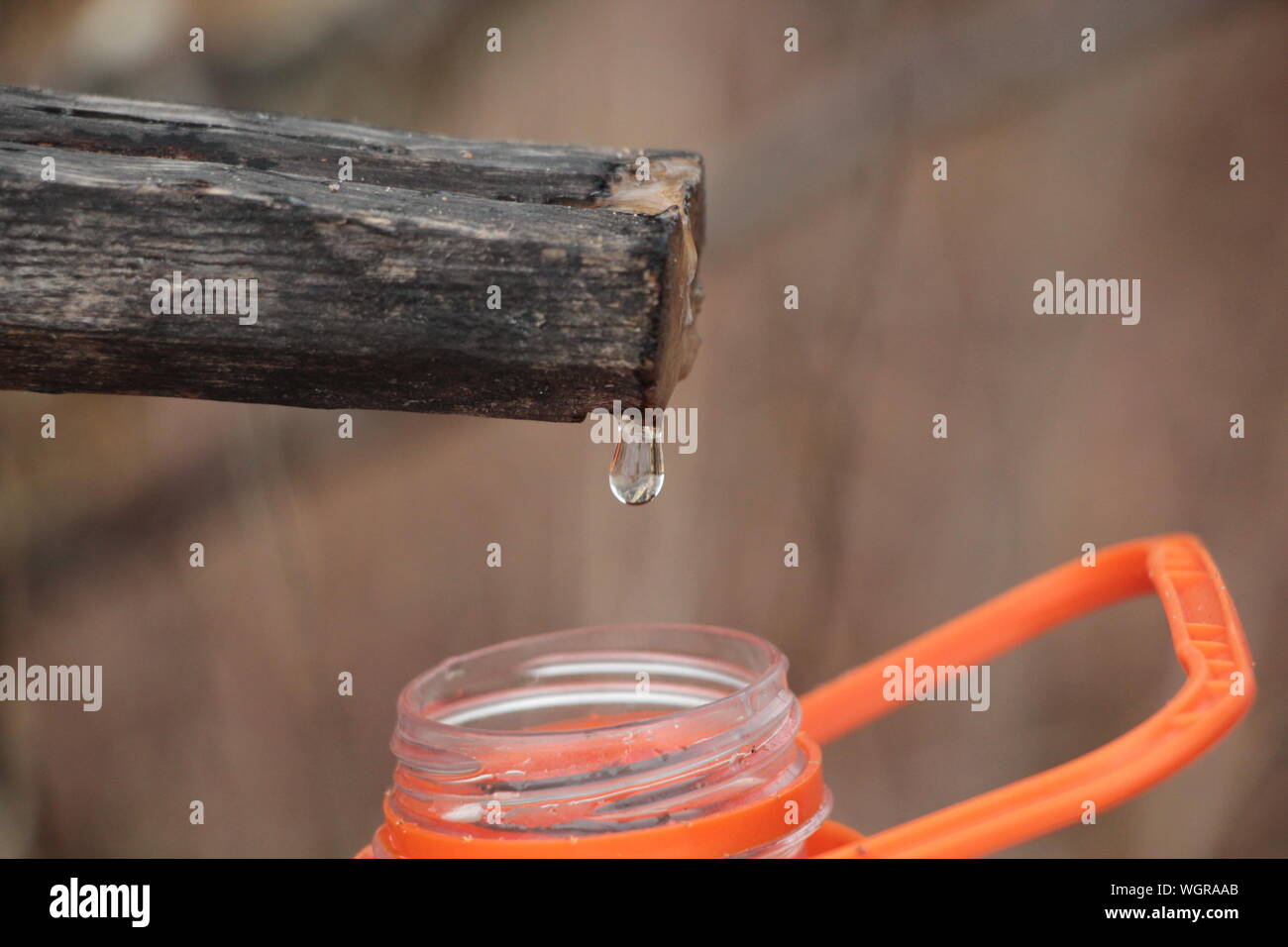Close-up de una gota de agua sobre la madera en botella Foto de stock