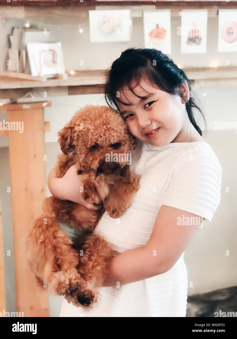 Caniche Real Fotos E Imagenes De Stock Alamy