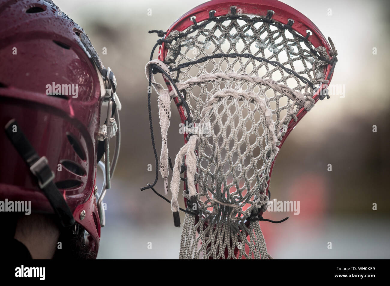 Close-up de Jugador con Lacrosse Equipamiento deportivo Fotografía de stock  - Alamy