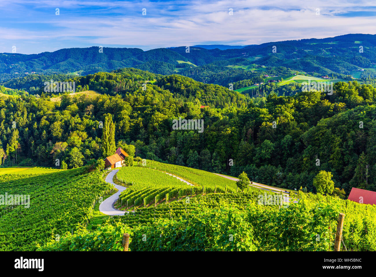 Spicnik, Maribor, Eslovenia. La famosa ruta del vino en forma de corazón. Foto de stock
