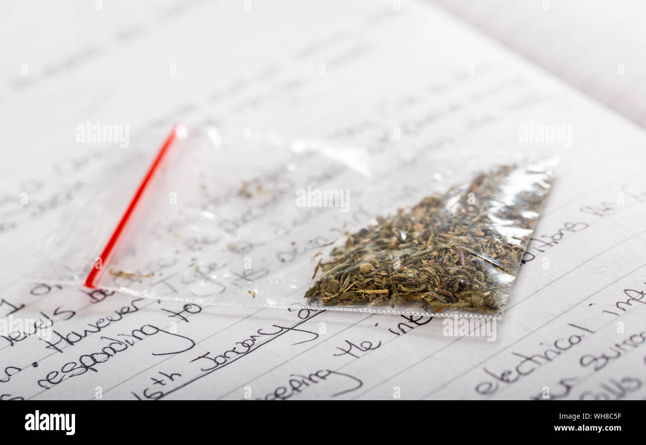 Una bolsa de droga, malezas o picante en un manual escolar para ilustrar el problema de las drogas en las escuelas Foto de stock