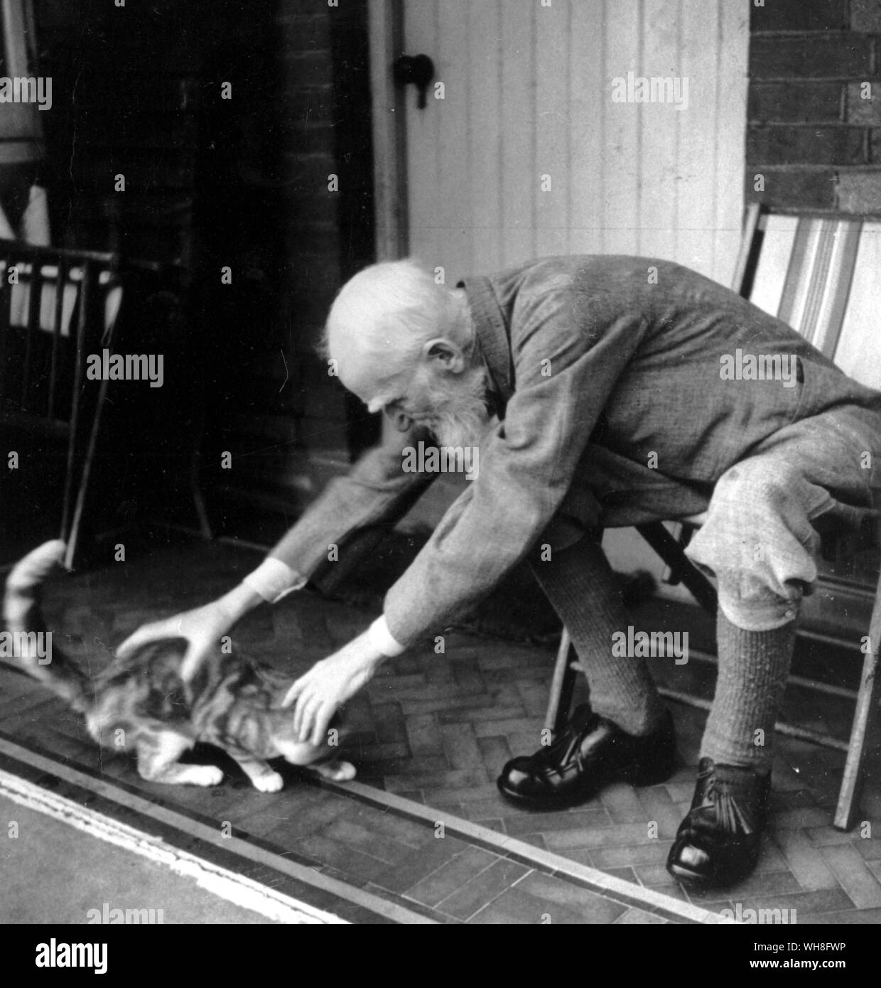 George Bernard Shaw tenía siempre una simpatía con los gatos. Shaw (1856-1950) fue un dramaturgo irlandés y ganador del Premio Nobel de Literatura en 1925. El genio de Shaw, página 107. Foto de stock