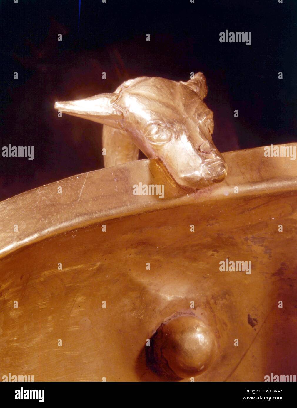 Mordeduras de oro oro. Cabeza de perro mango de vaso. Desde la acrópolis de Micenas, siglo XVI A.C. Foto de stock