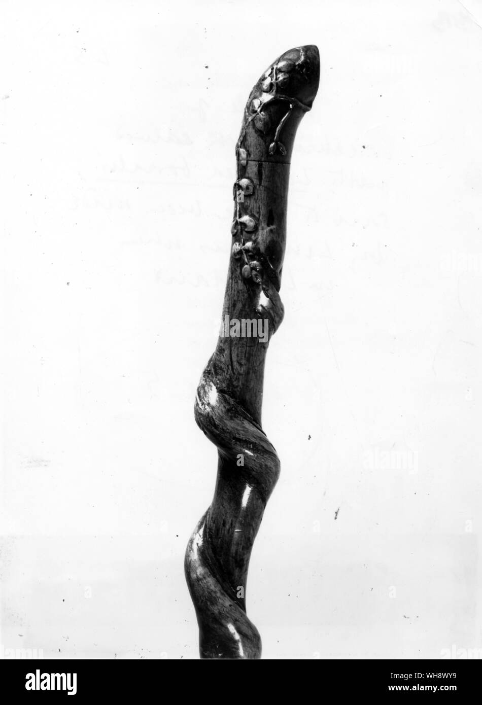 El mango de un bastón tallado con Linnaea borealis, dice que ha sido hecha por Linnaeus en Laponia Foto de stock