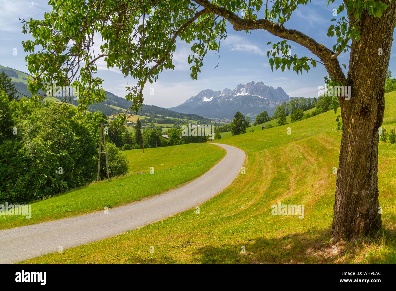 Vista del carril del país y Ellmauer Halt pico de montaña cerca de St. Johann, Alpes Austríacos, Tirol, Austria, Europa Foto de stock