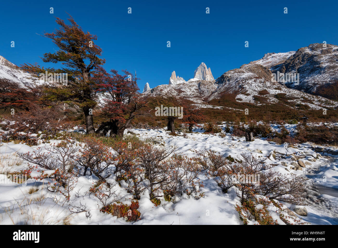 Monte Fitz Roy con los colores de otoño y la nieve, Sitio del Patrimonio Mundial de la UNESCO, El Chalten, Patagonia Argentina, Sudamérica Foto de stock