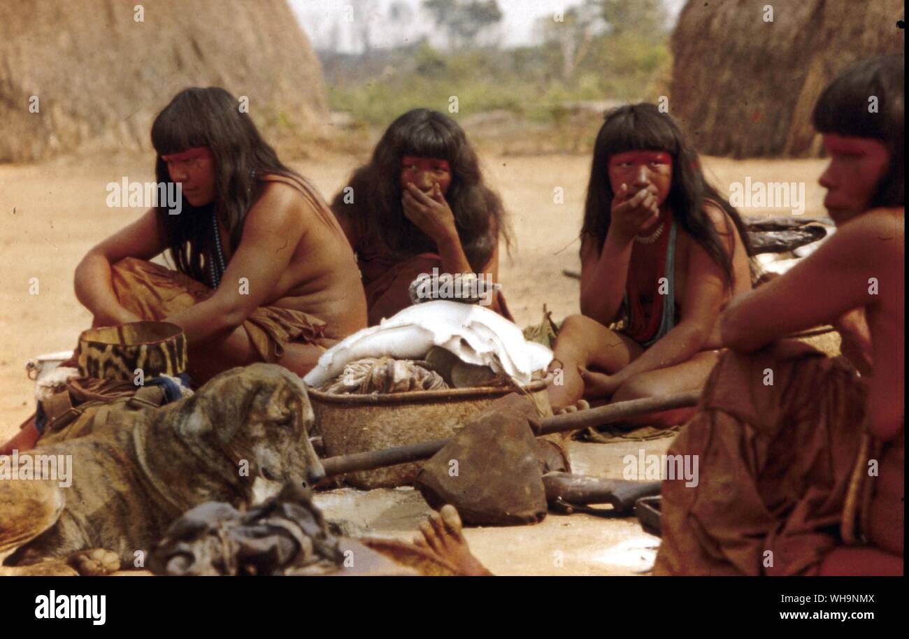 Las mujeres preparan la comida de los peces, la mandioca y las tuercas mientras esperan para la ceremonia viendo Xingu ceremonia Knarup Brasil Foto de stock