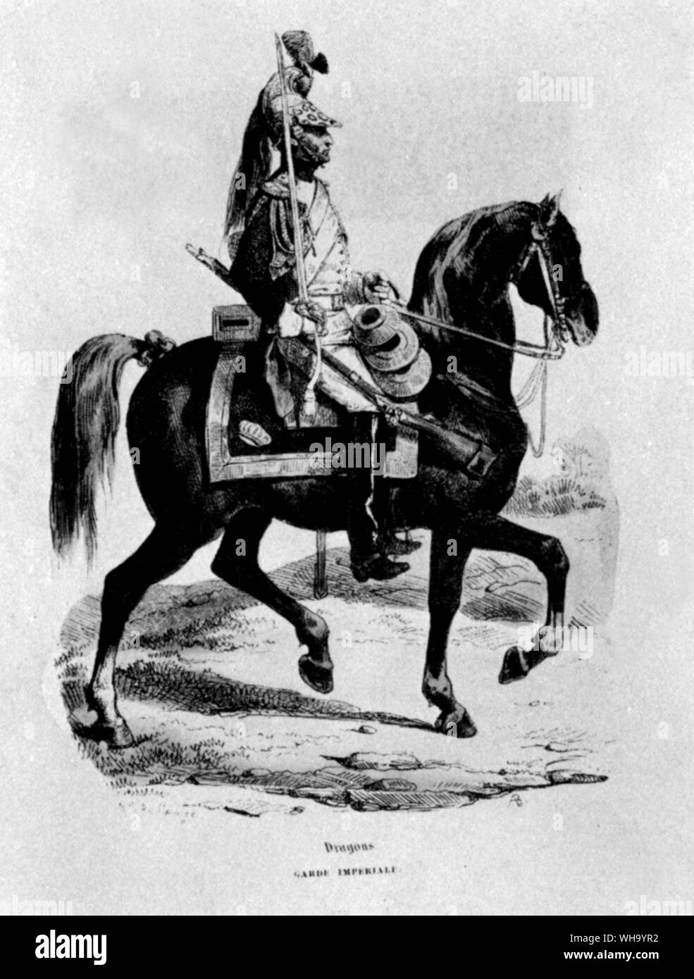 Soldado de guardia/Dragoon. A caballo de la Guardia Imperial. (Ningún otro tipo de información). Foto de stock