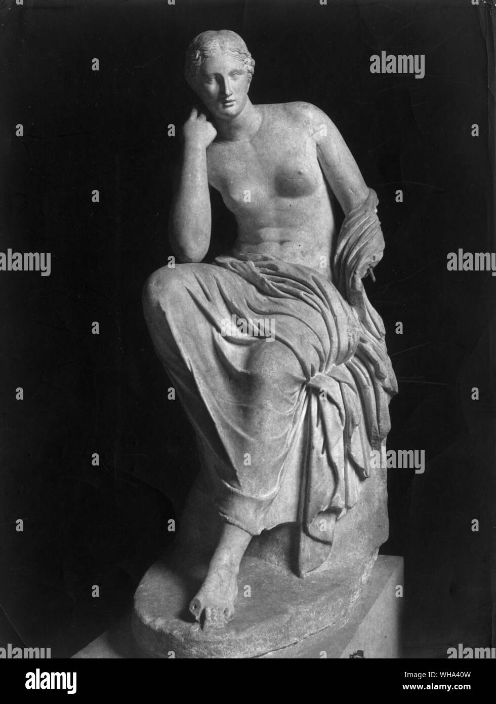 Ariadna ariadna fotografías e imágenes de alta resolución Alamy