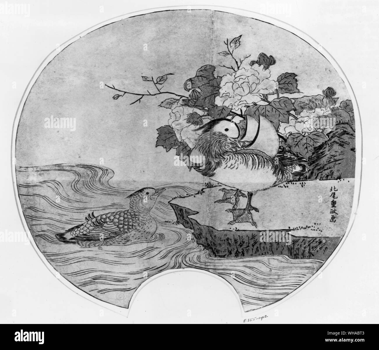 "Una pareja de patos del mandarín" emblemas de la felicidad conyugal. La floración peony un símbolo de la opulencia, destaca el contraste entre la maravillosa Drake y la hembra gris al que él permanece fiel. El diseño del ventilador por Kitao Shigemasa 1738-1819. Foto de stock