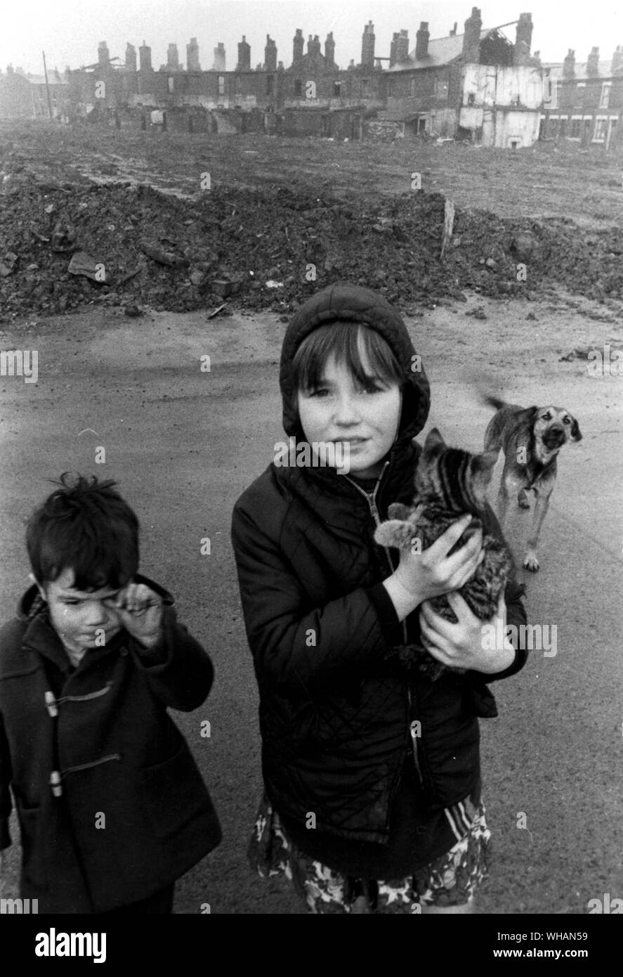 Los niños en Manchester en 1970. Hermano y hermana con sus mascotas, un gatito y un perro Foto de stock