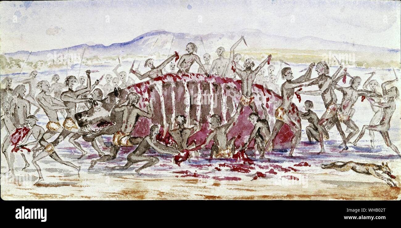 Se pelean por un hipopótamo. Acuarela de la Sir Samuel Baker - Explorador Inglés . Sir Samuel White Baker (8 de junio de 1821-30 de diciembre de 1893) fue un explorador inglés. Foto de stock